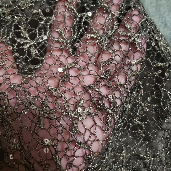 Adrianna Papell Lace Dress - Picture 9 of 10